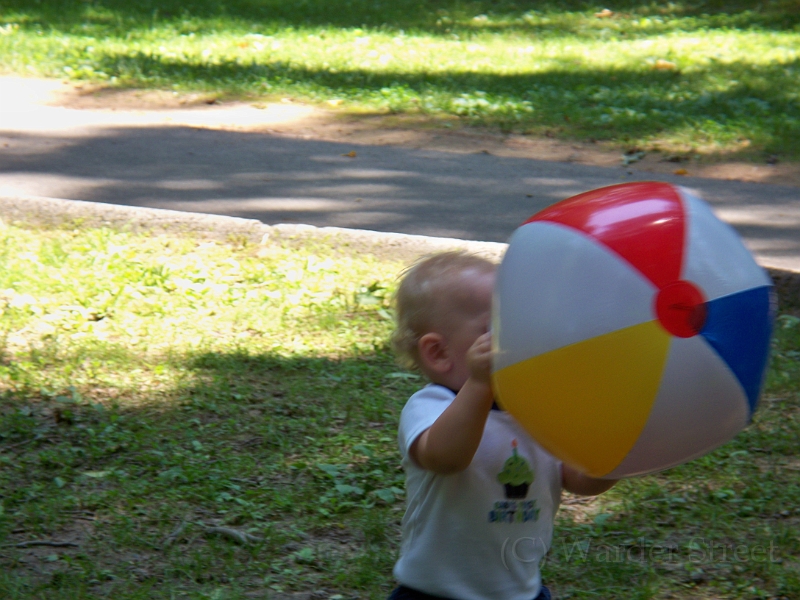 William's First Birthday 110.jpg